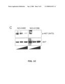 Sensitization of Drug-Resistant Lung Caners to Protein Kinase Inhibitors diagram and image