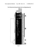 Biosynthetic platform for cardioprotective stress response in human fatal heart tissue diagram and image