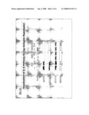 Biosynthetic platform for cardioprotective stress response in human fatal heart tissue diagram and image