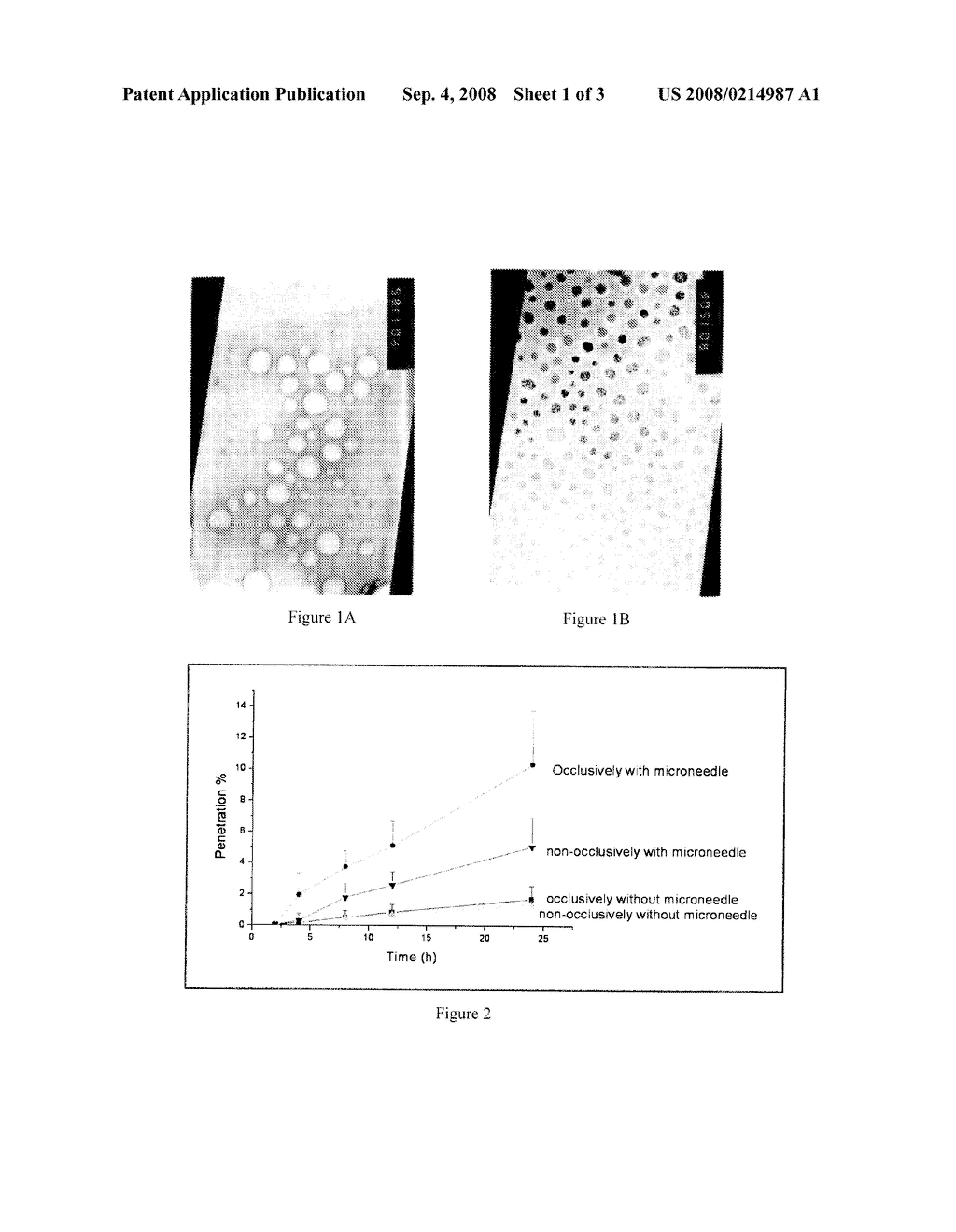 Microdevice And Method For Transdermal Delivery And Sampling Of Active Substances - diagram, schematic, and image 02