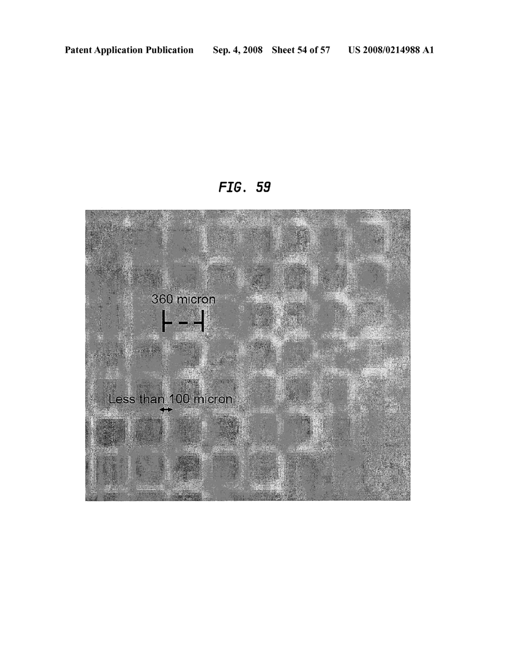 Methods And Devices For Fractional Ablation Of Tissue - diagram, schematic, and image 55