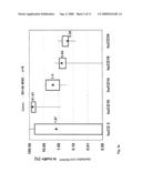 Animal Model for the Human Immune System, and Method for Producing the Same diagram and image