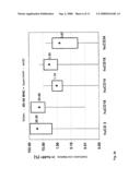 Animal Model for the Human Immune System, and Method for Producing the Same diagram and image