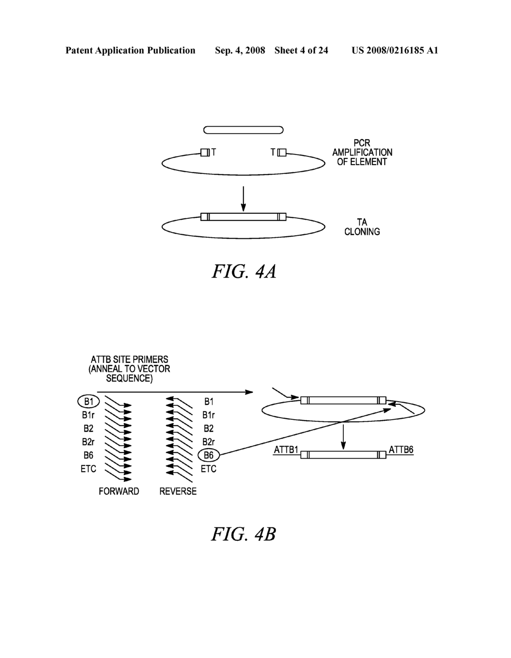 Compositions and Methods for Genetic Manipulation and Monitoring of Cell Lines - diagram, schematic, and image 05