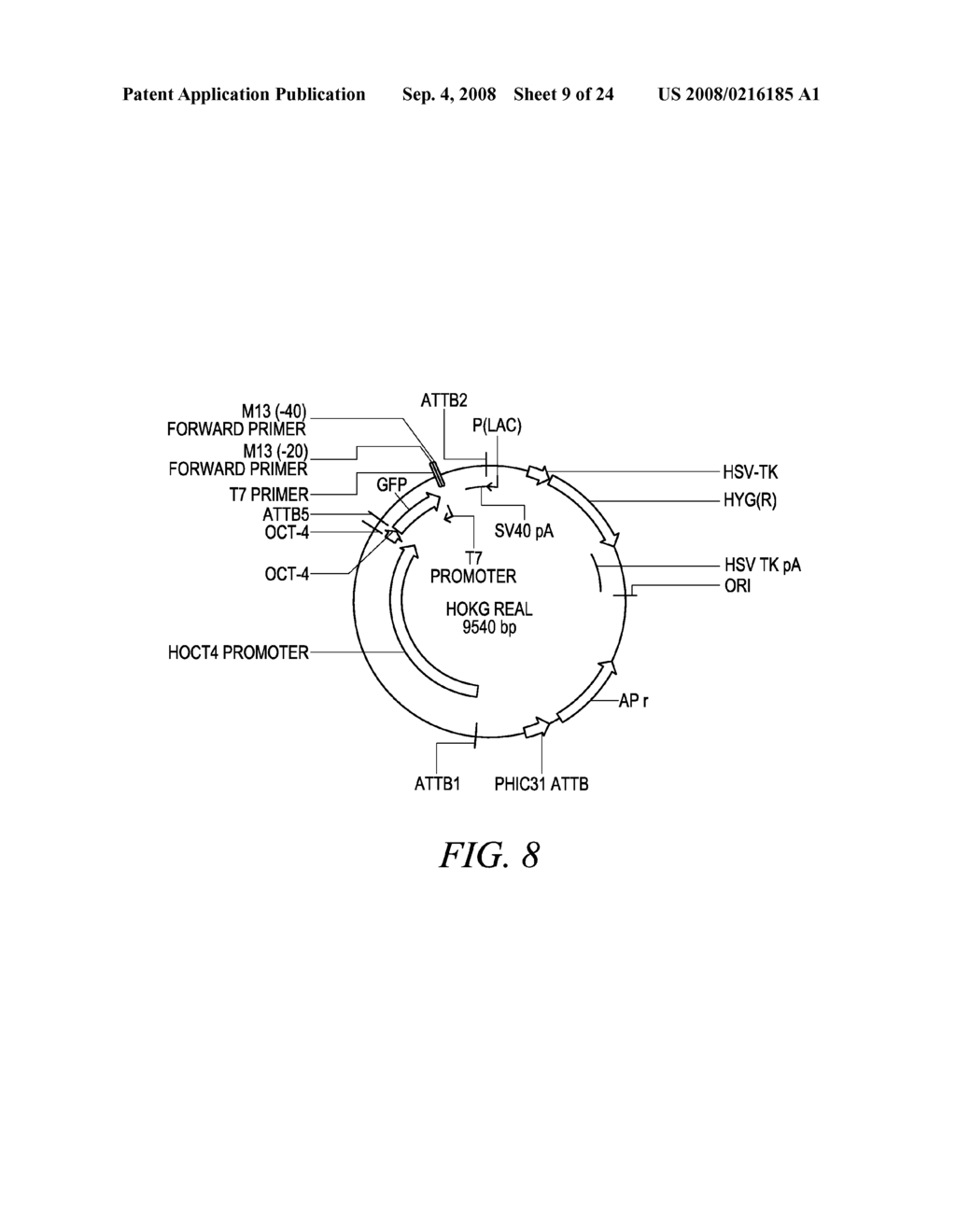 Compositions and Methods for Genetic Manipulation and Monitoring of Cell Lines - diagram, schematic, and image 10