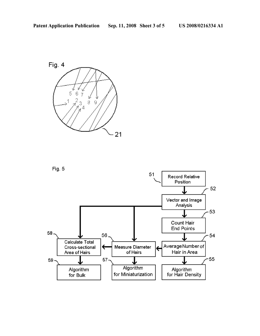 Apparatus and Method for Mapping Hair Metric - diagram, schematic, and image 04