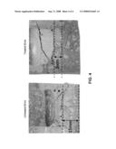 TREATED REFRACTORY MATERIAL AND METHODS OF MAKING diagram and image