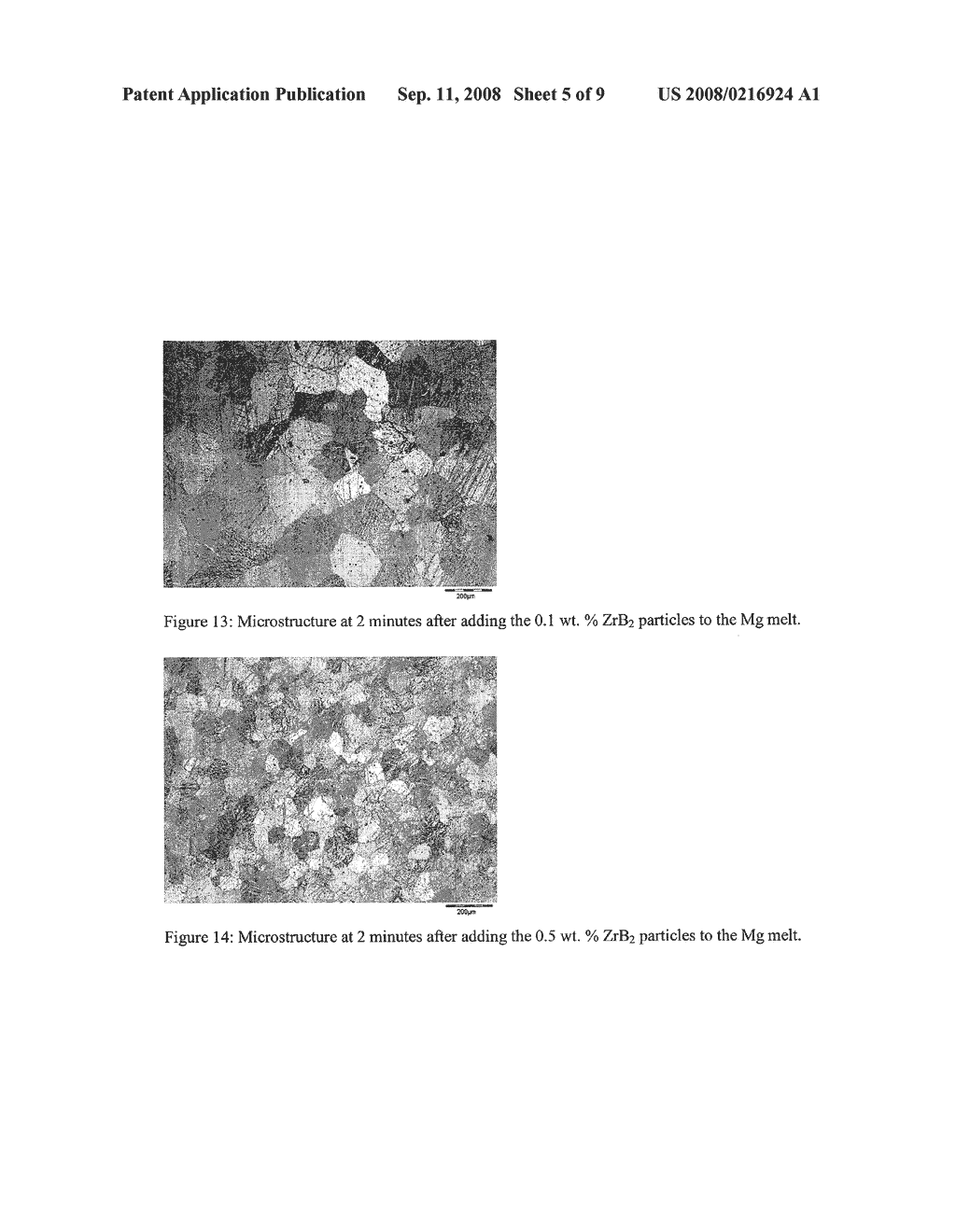 METHOD FOR PRODUCING GRAIN REFINED MAGNESIUM AND MAGNESIUM-ALLOYS - diagram, schematic, and image 06