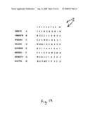 System for preventing fraudulent purchases and identity theft diagram and image