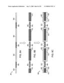 PHOTOVOLTAIC FIBERS diagram and image