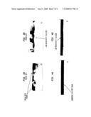 ELIMINATING METAL-RICH SILICIDES USING AN AMORPHOUS Ni ALLOY SILICIDE STRUCTURE diagram and image