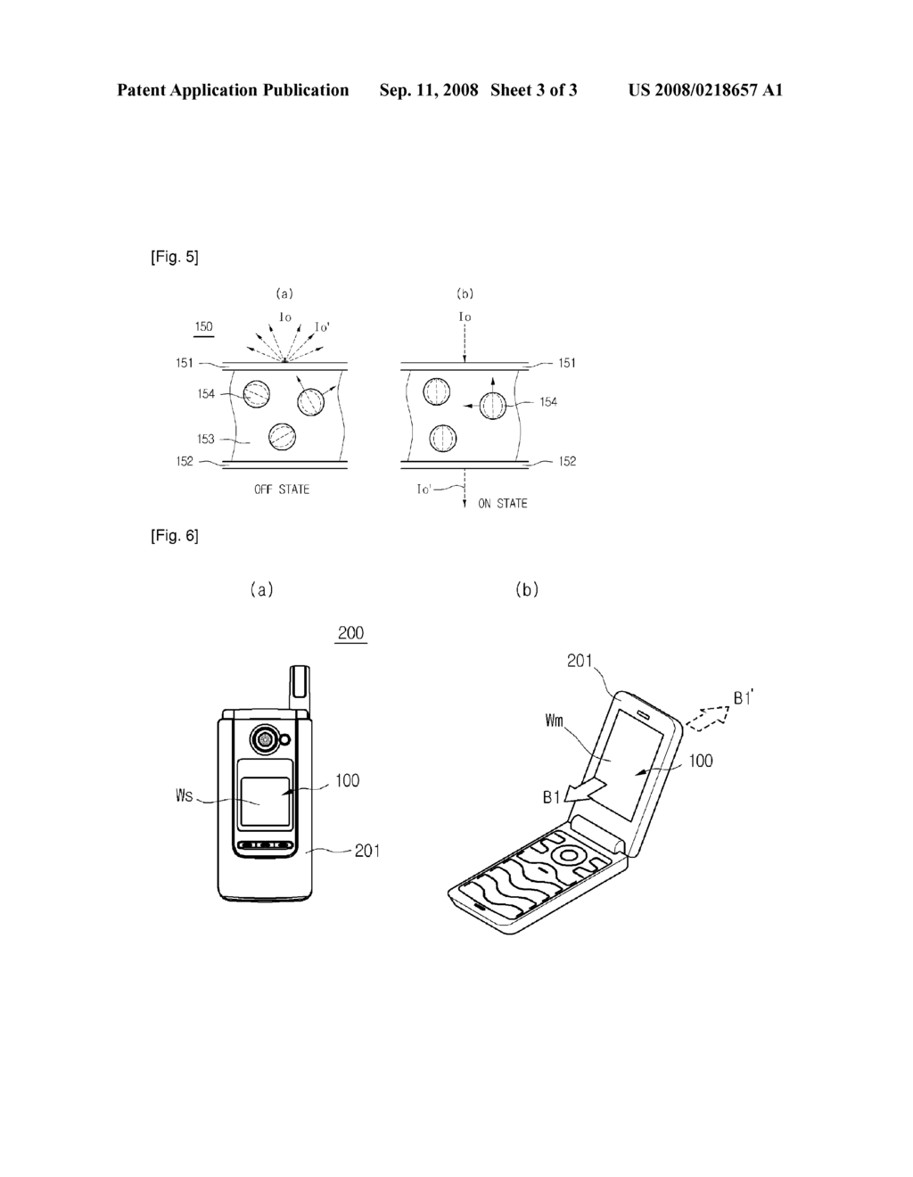 Display Device and Mobile Terminal Having the Same - diagram, schematic, and image 04