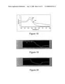 Evanescent Wave Sensing Apparatus and Methods Using Plasmons diagram and image