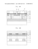 Multibit electro-mechanical memory device and method of manufacturing the same diagram and image