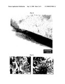 Fabrication Methods of Metal/Polymer/Ceramic Matrix Composites Containing Randomly Distributed or Directionally Aligned Nanofibers diagram and image