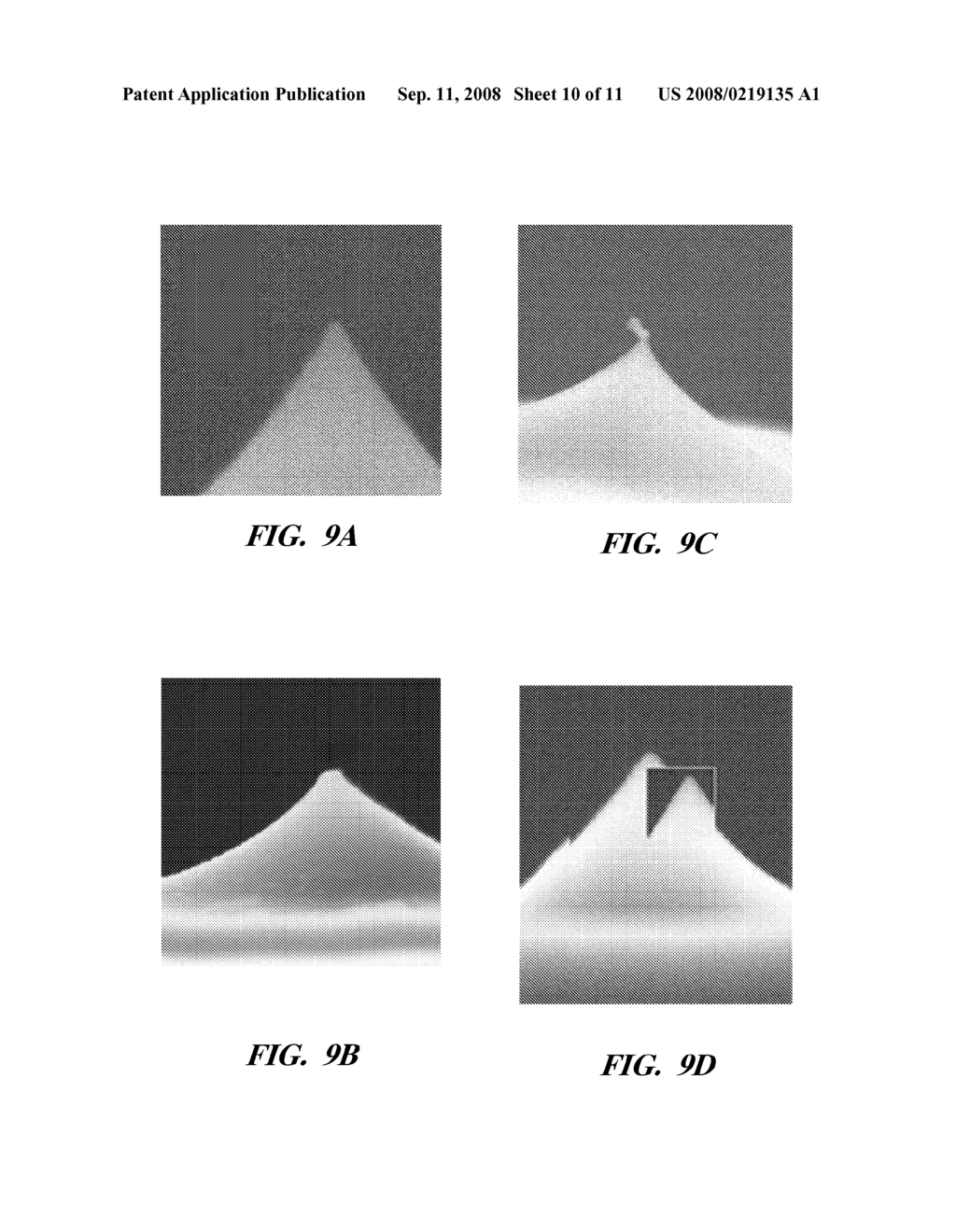 METHOD FOR HIGH DENSITY DATA STORAGE AND IMAGING - diagram, schematic, and image 11