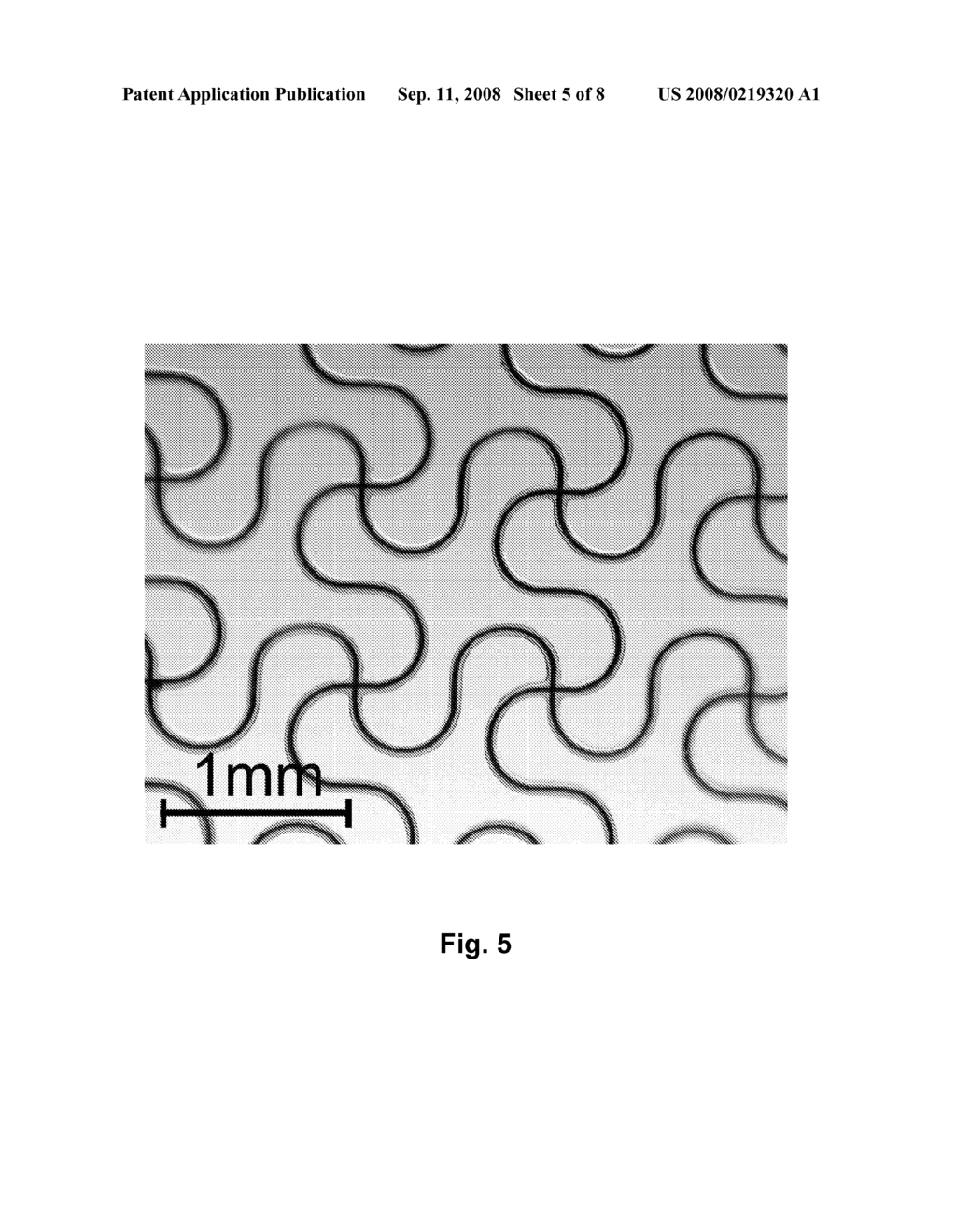 CONFORMAL MESH FOR THERMAL IMAGING - diagram, schematic, and image 06