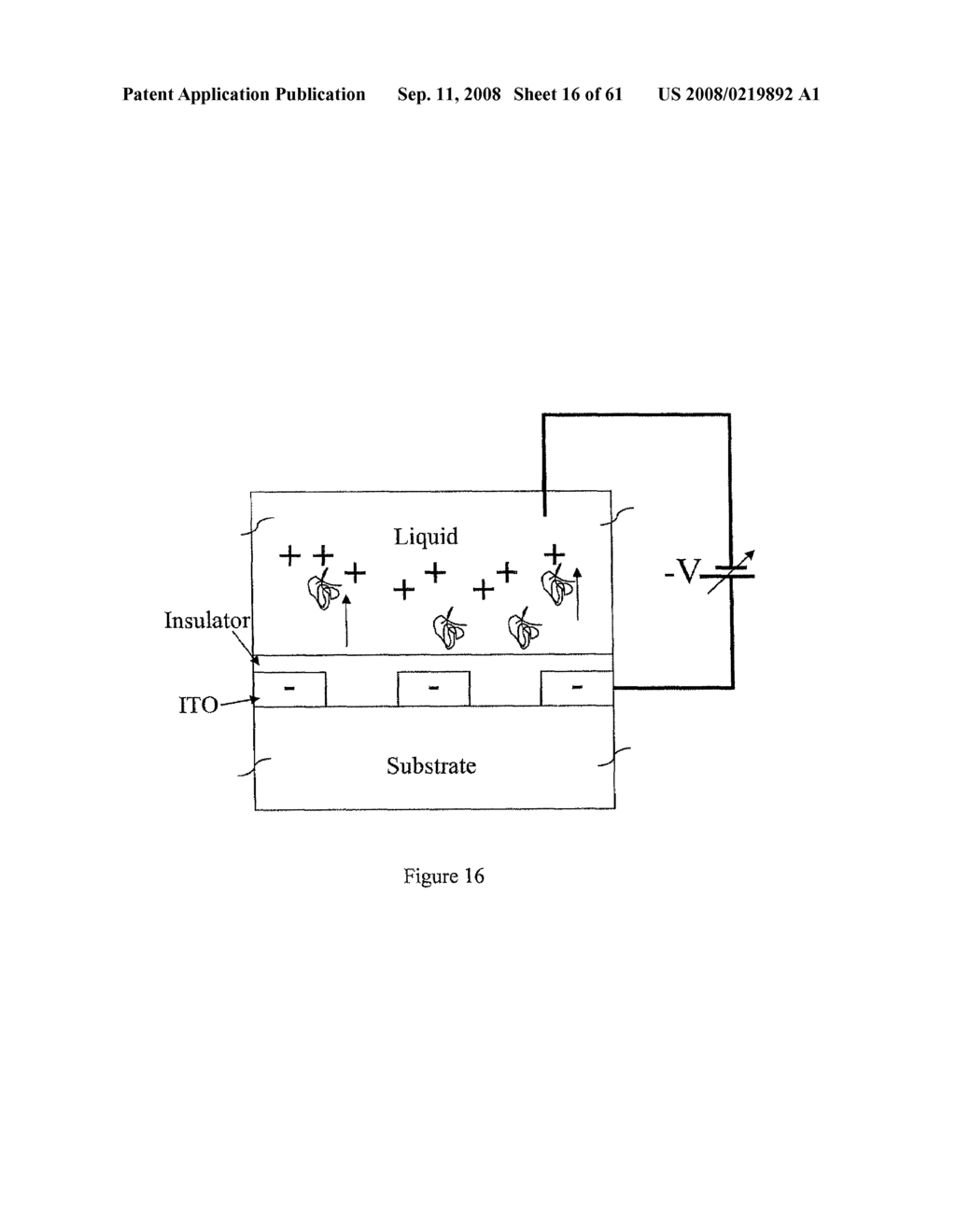 Guided Mode Resonant Filter Biosensor Using a Linear Grating Surface Structure - diagram, schematic, and image 17