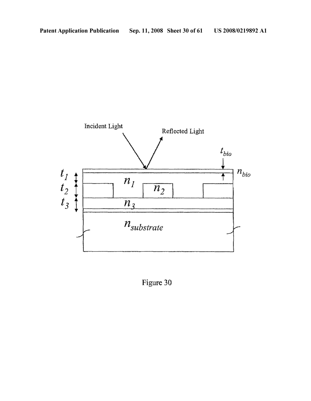 Guided Mode Resonant Filter Biosensor Using a Linear Grating Surface Structure - diagram, schematic, and image 31