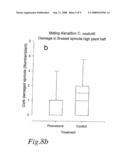 PHEROMONES AND METHOD OF PREVENTING INFESTATION OF CONTARINIA NASTURTII diagram and image