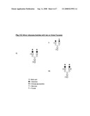 Process For the Preparation of Glycosylated Interferon Beta diagram and image