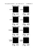 Soluble lymphotoxin-beta receptors and anti-lymphotoxin receptor and ligand antibodies as therapeutic agents for the treatment of immunological diseases diagram and image