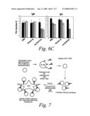 Soluble lymphotoxin-beta receptors and anti-lymphotoxin receptor and ligand antibodies as therapeutic agents for the treatment of immunological diseases diagram and image