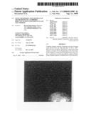 Novel Phosphorylated Phosphatase Cdc25b Sequences, Antibodies Directed Against Said Sequences and Uses Thereof diagram and image