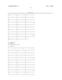 Novel Phosphorylated Phosphatase Cdc25b Sequences, Antibodies Directed Against Said Sequences and Uses Thereof diagram and image