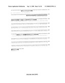 MODIFIED BOUGANIN PROTEINS, CYTOTOXINS AND METHODS AND USES THEREOF diagram and image