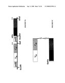 MODIFIED BOUGANIN PROTEINS, CYTOTOXINS AND METHODS AND USES THEREOF diagram and image