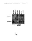 Her-2 binding antagonists diagram and image