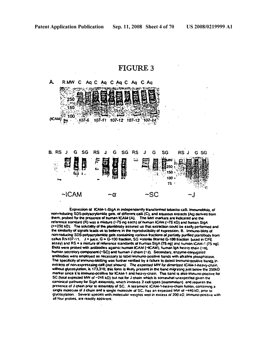 Immunoadhesin for the prevention of rhinovirus infection - diagram, schematic, and image 05