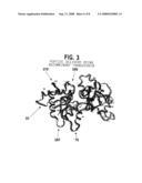 MODIFIED TRANSFERIN-ANTIBODY FUSION PROTEINS diagram and image