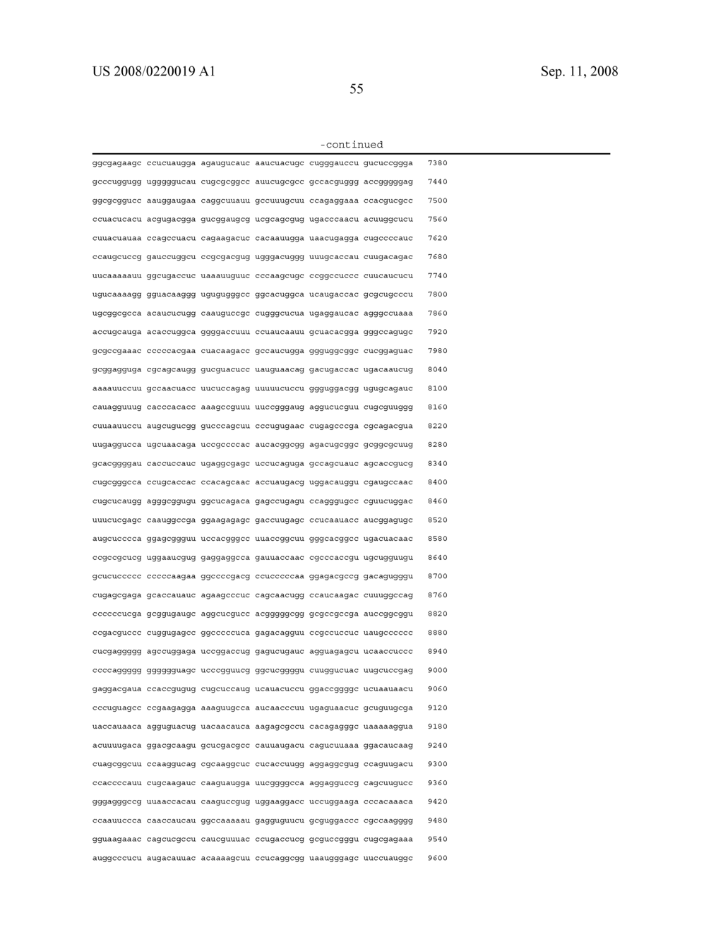 Nucleic Acid Construct Containing Fulllength Genome of Human Hepatitis C Virus, Recombinant Fulllength Virus Genome-Replicating Cells Having the Nucleic Acid Construct Transferred Thereinto and Method of Producing Hepatitis C Virus Particle - diagram, schematic, and image 68