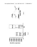 Red blood cells loaded with s-nitrosothiol and uses therefor diagram and image