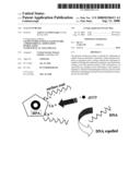 Clean-Up Beads diagram and image