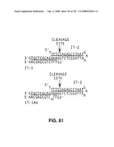 Methods and Compositions for Detecting Target Sequences diagram and image