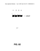 Methods and Compositions for Detecting Target Sequences diagram and image