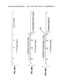 Methods and Compositions for Detecting Target Sequences diagram and image