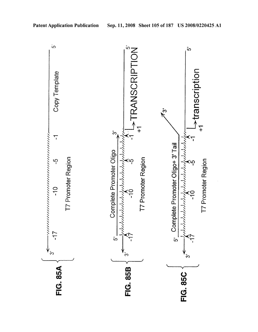 Methods and Compositions for Detecting Target Sequences - diagram, schematic, and image 106