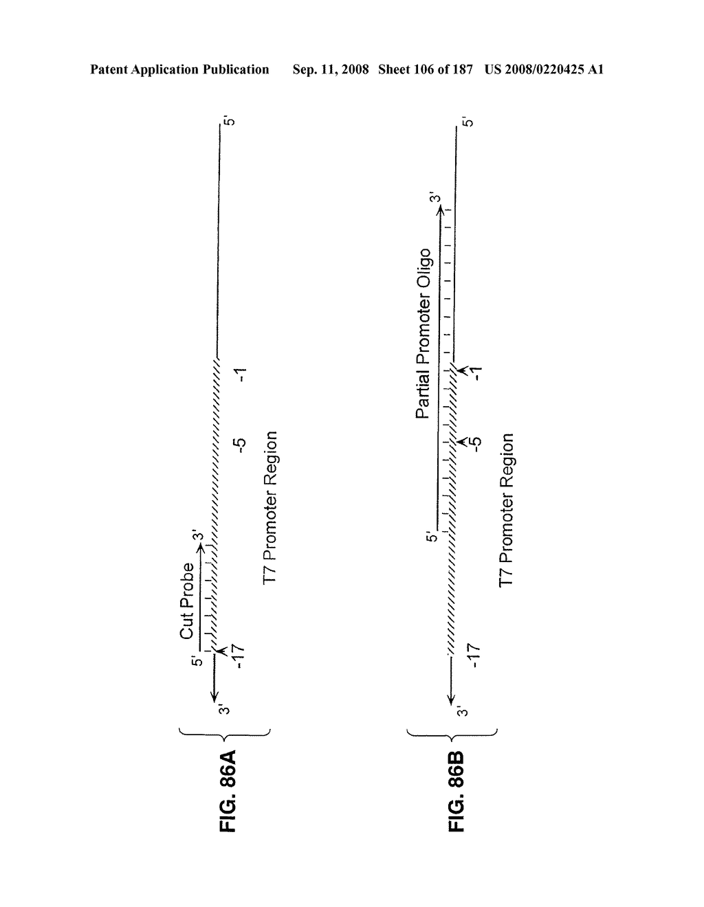 Methods and Compositions for Detecting Target Sequences - diagram, schematic, and image 107