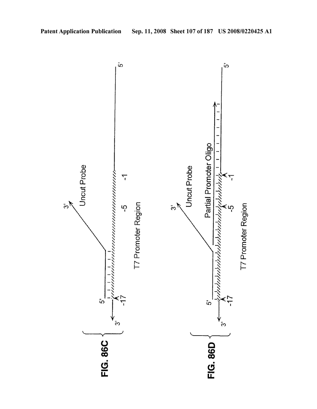 Methods and Compositions for Detecting Target Sequences - diagram, schematic, and image 108