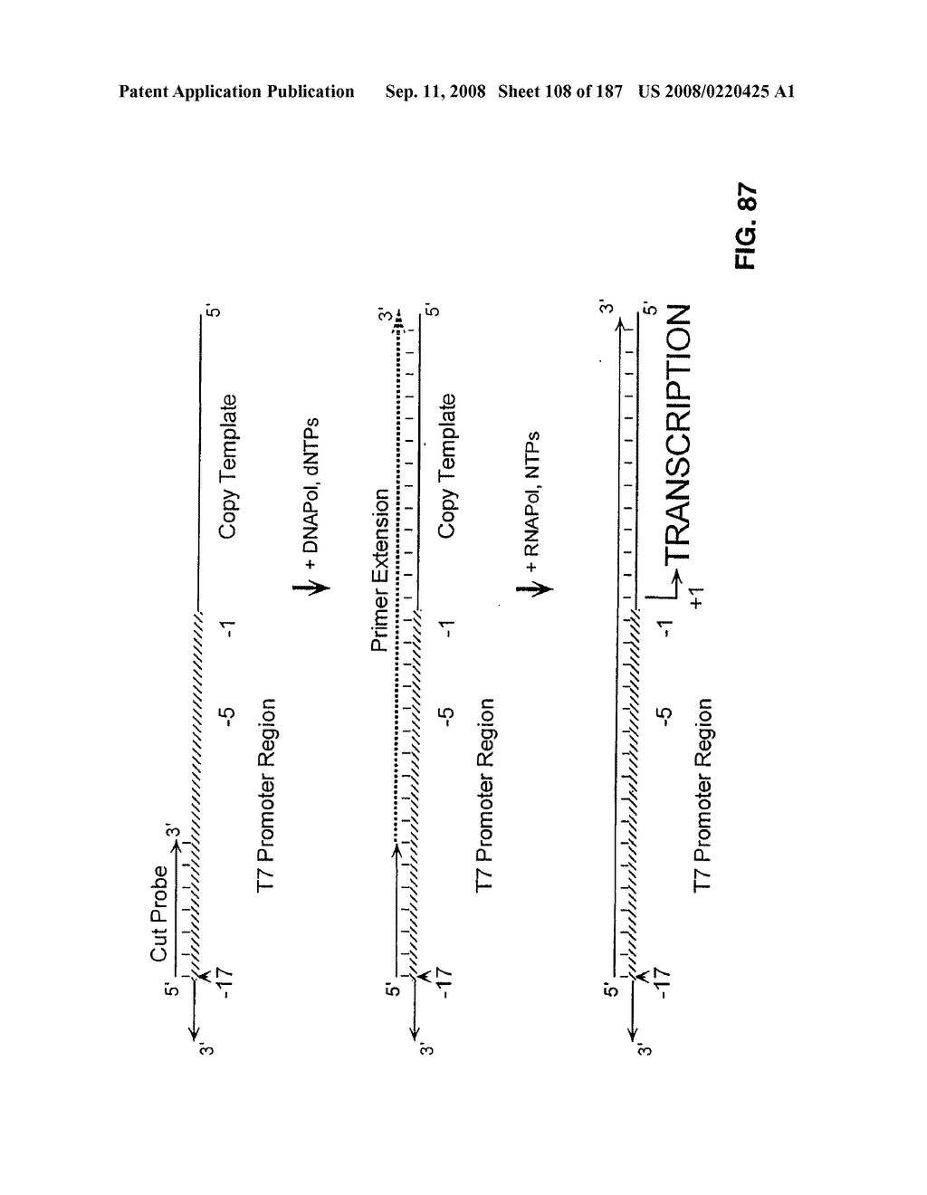 Methods and Compositions for Detecting Target Sequences - diagram, schematic, and image 109