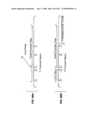 Methods and Compositions for Detecting Target Sequences diagram and image