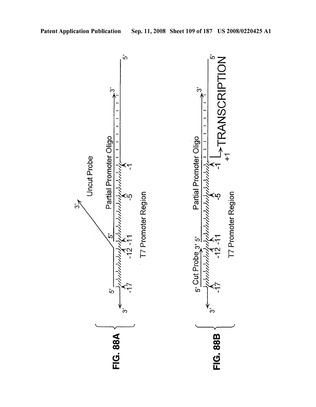 Methods and Compositions for Detecting Target Sequences - diagram, schematic, and image 110