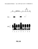 Methods and Compositions for Detecting Target Sequences diagram and image