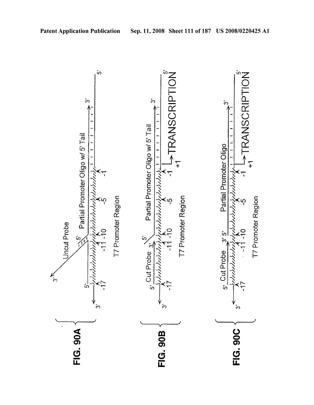 Methods and Compositions for Detecting Target Sequences - diagram, schematic, and image 112