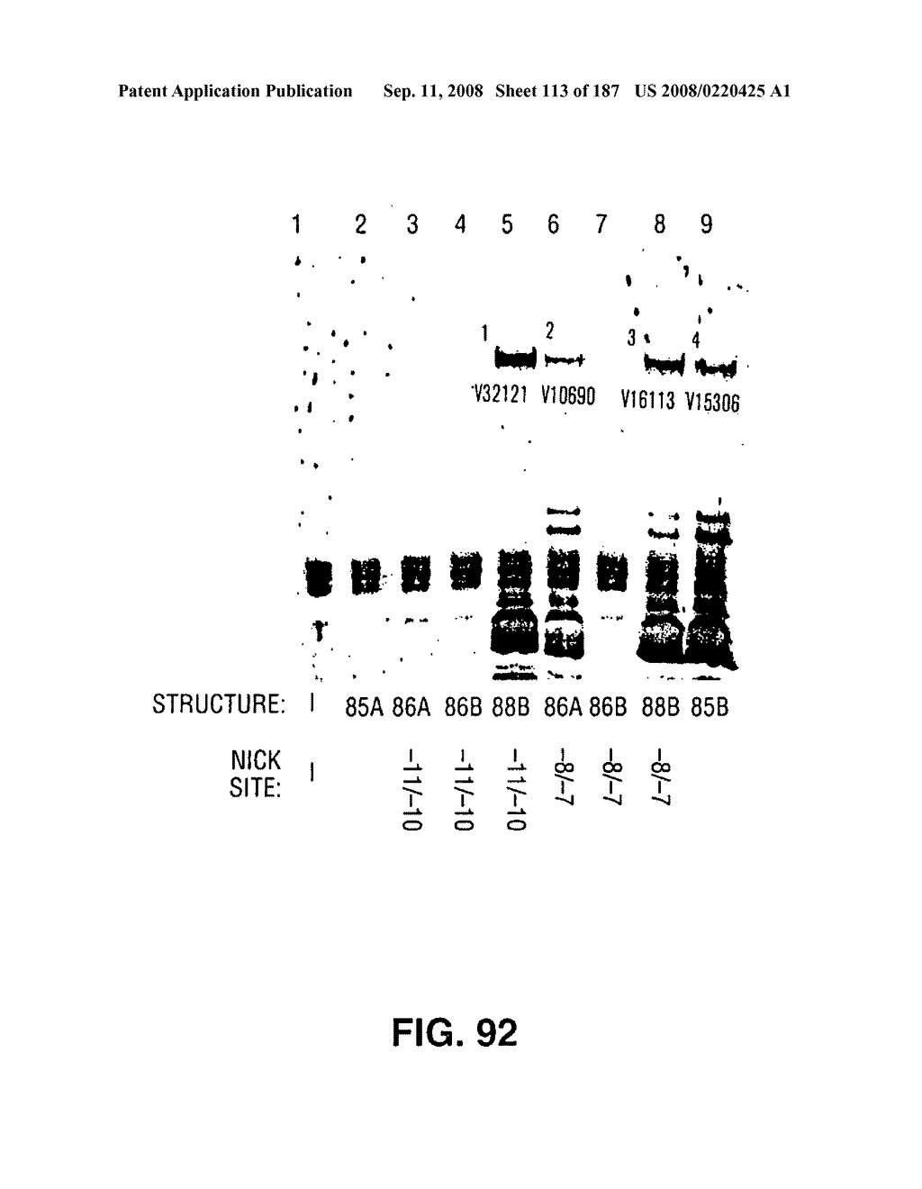 Methods and Compositions for Detecting Target Sequences - diagram, schematic, and image 114