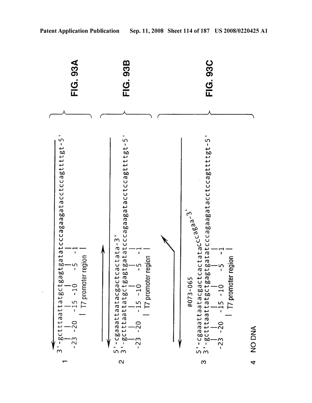 Methods and Compositions for Detecting Target Sequences - diagram, schematic, and image 115